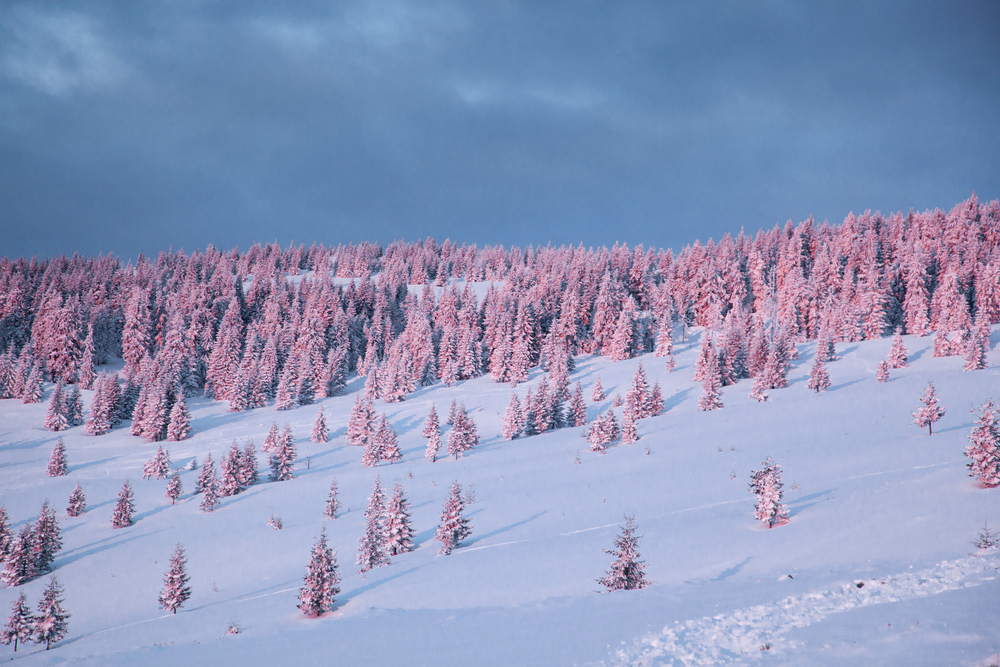 winter background of beautiful sunrise