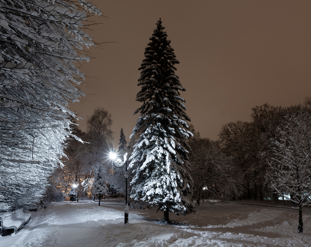 Beautiful winter night 