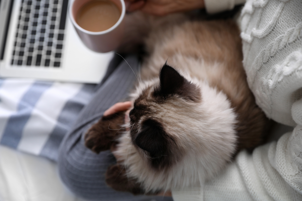 Woman with cute cat