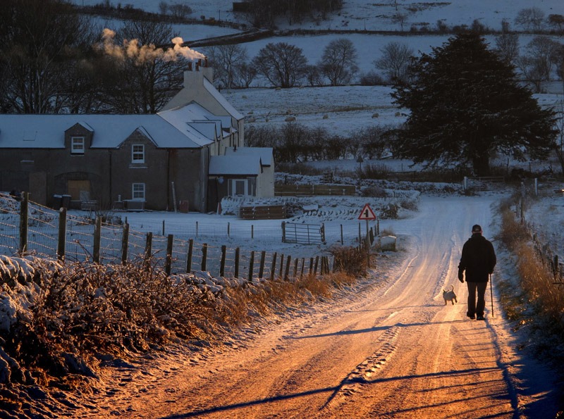 lovely winter landscape