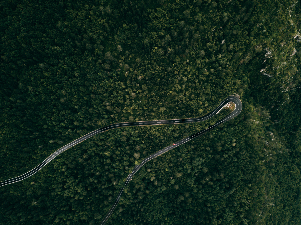 Forest mountain road - aerial view