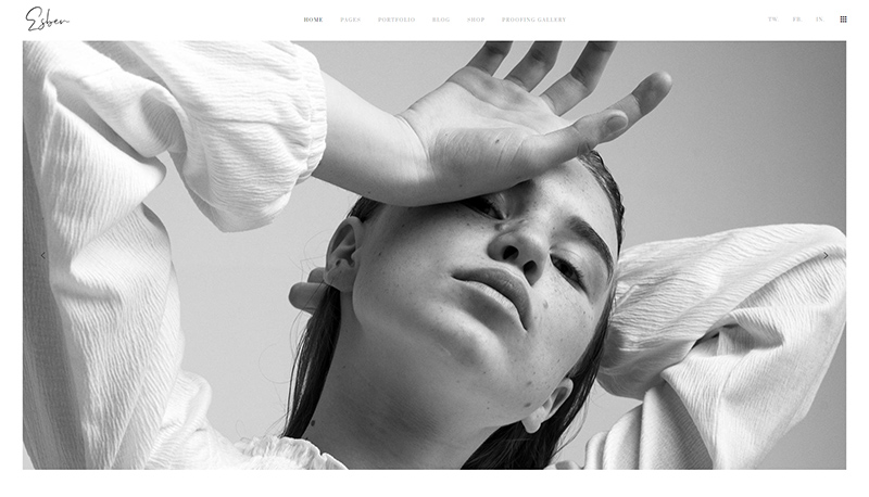 ebsen website theme