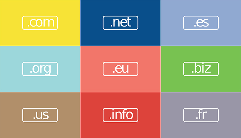 domain name options