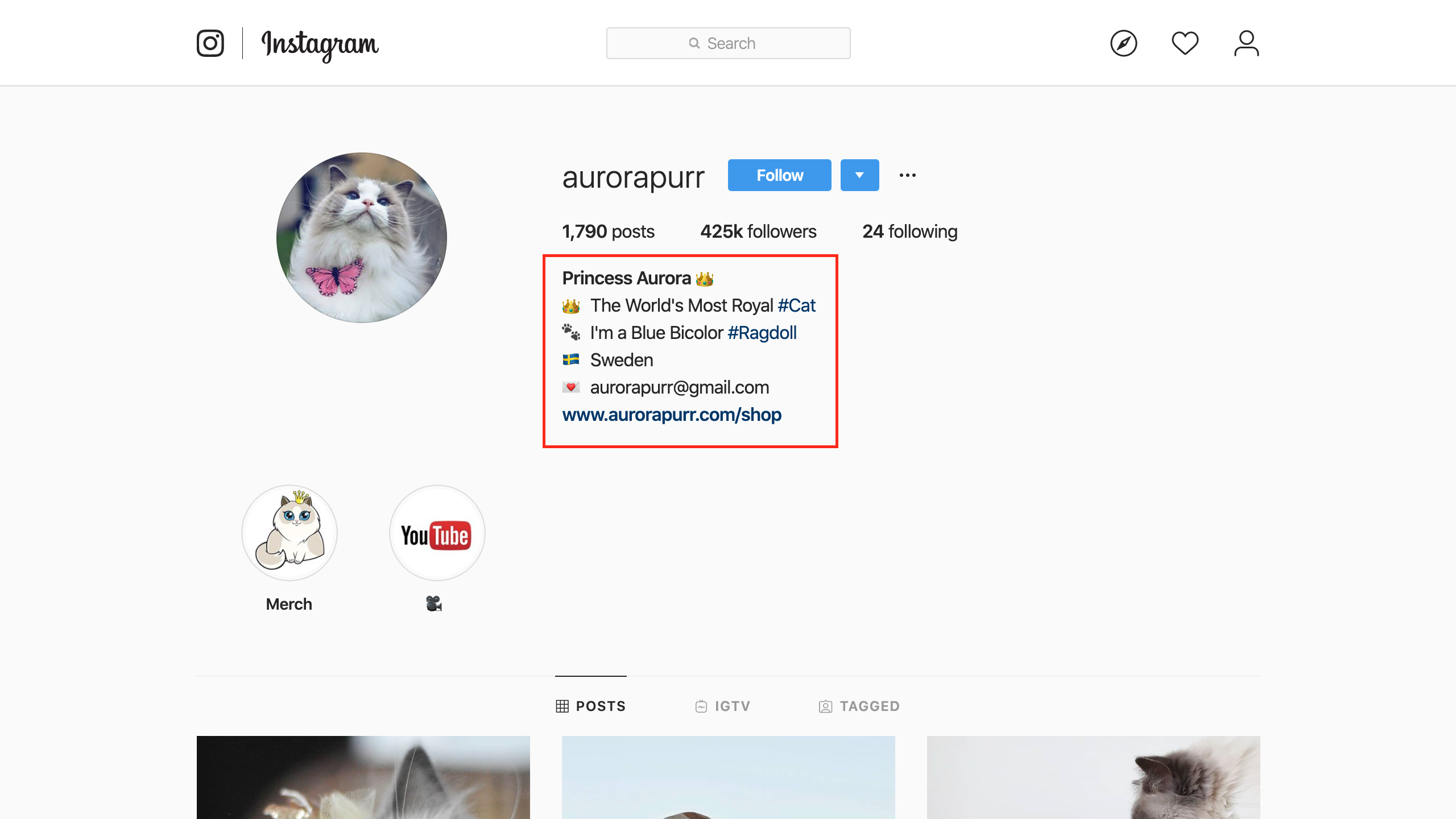 Make Your Pet Instagram Famous With These 7 Tips