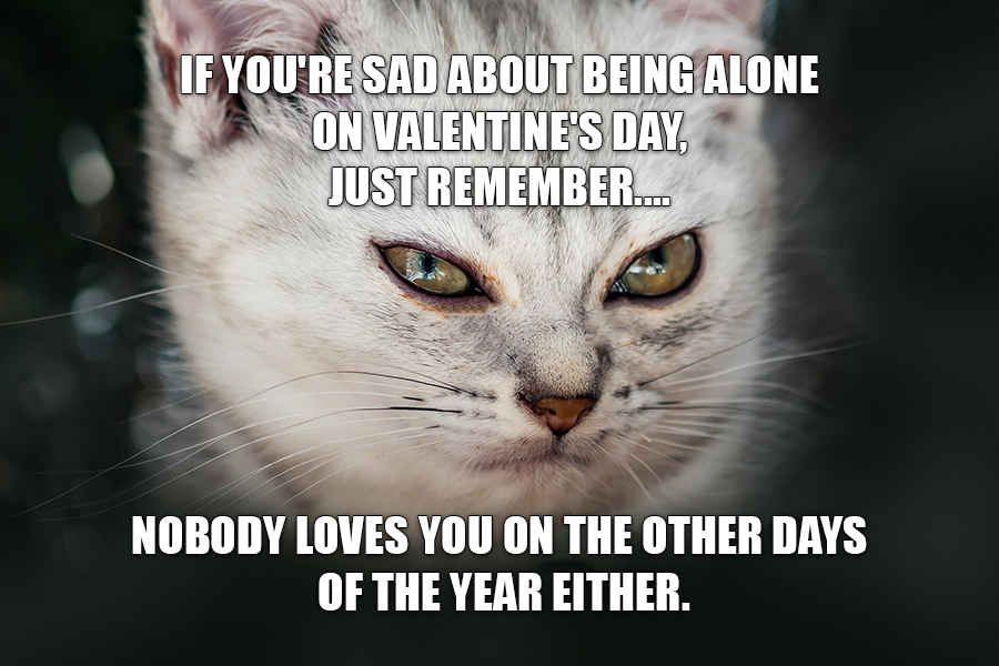 If you're sad about being alone on Valentine's Day, just remember.... Nobody loves you on the other days of the year either. 