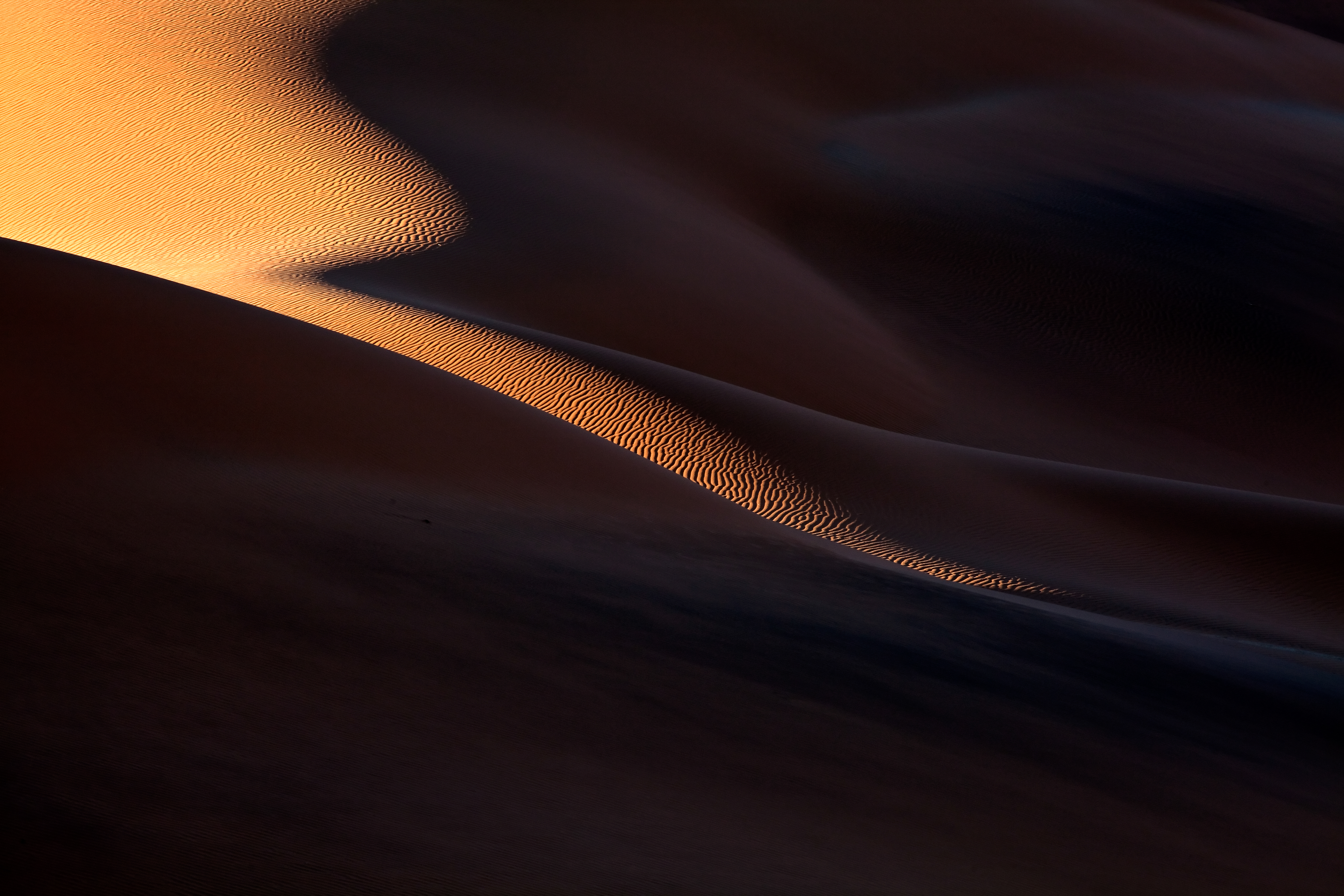 desert landscape