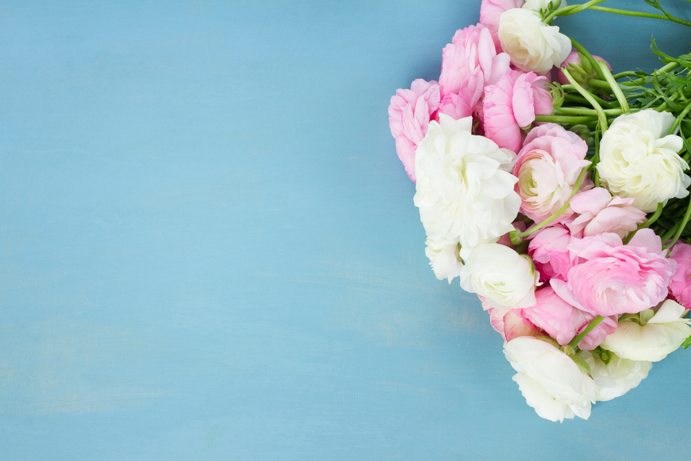 blooming flowers on blue wooden background