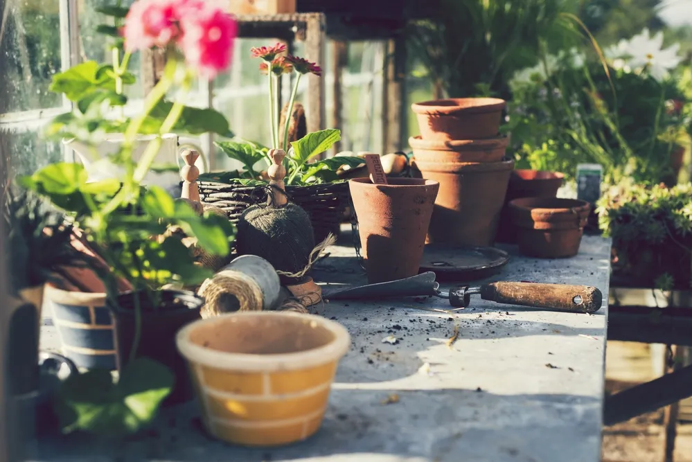 Flower pots and interiors of a greenhouse