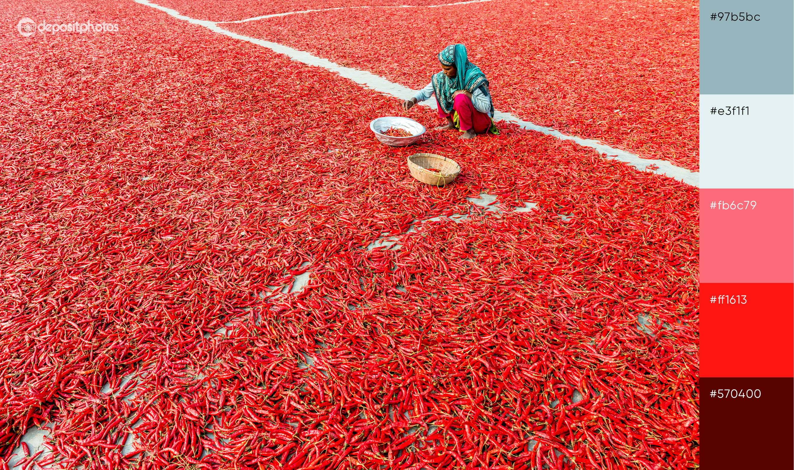 top view of woman working in field