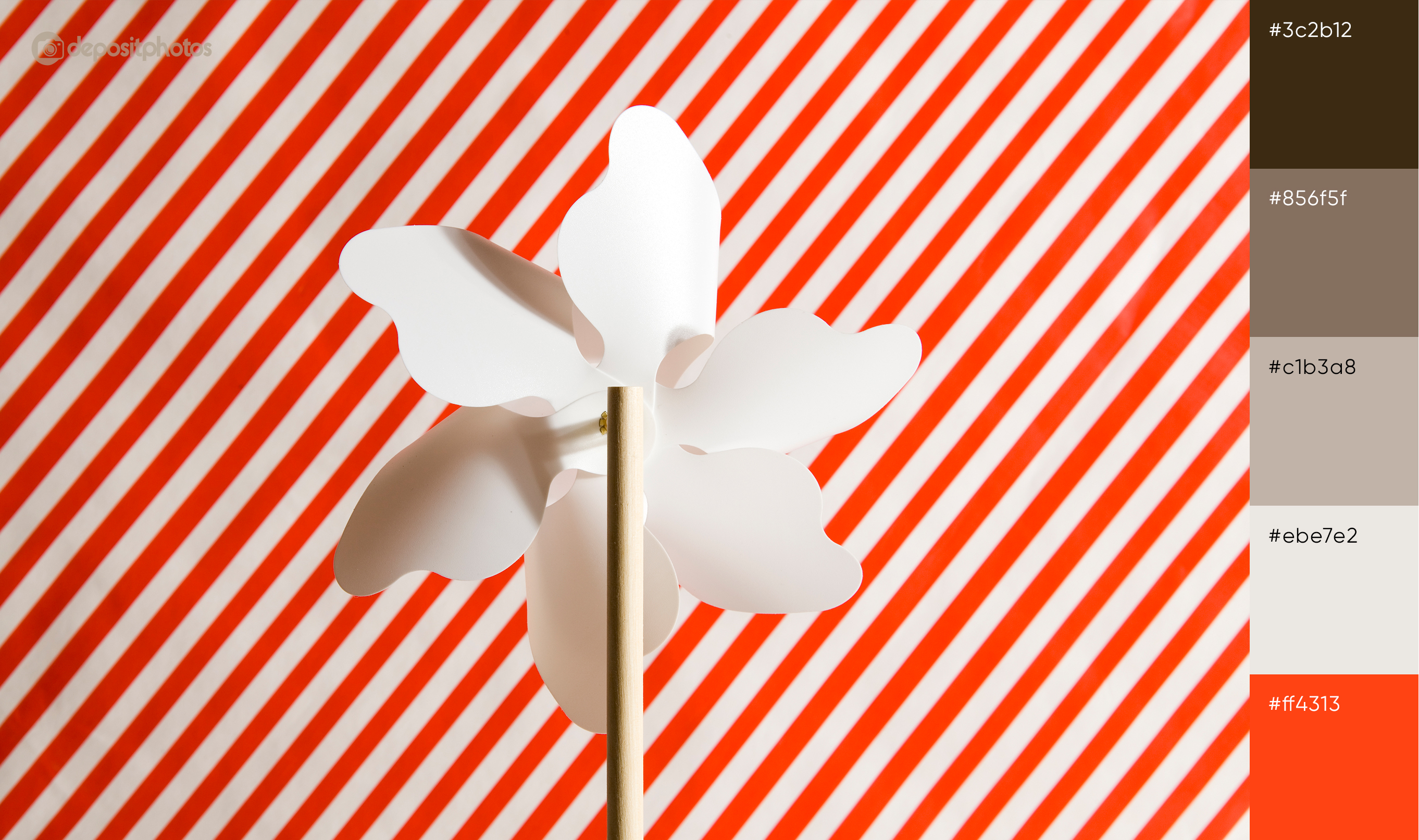 stock image red paper flower concept