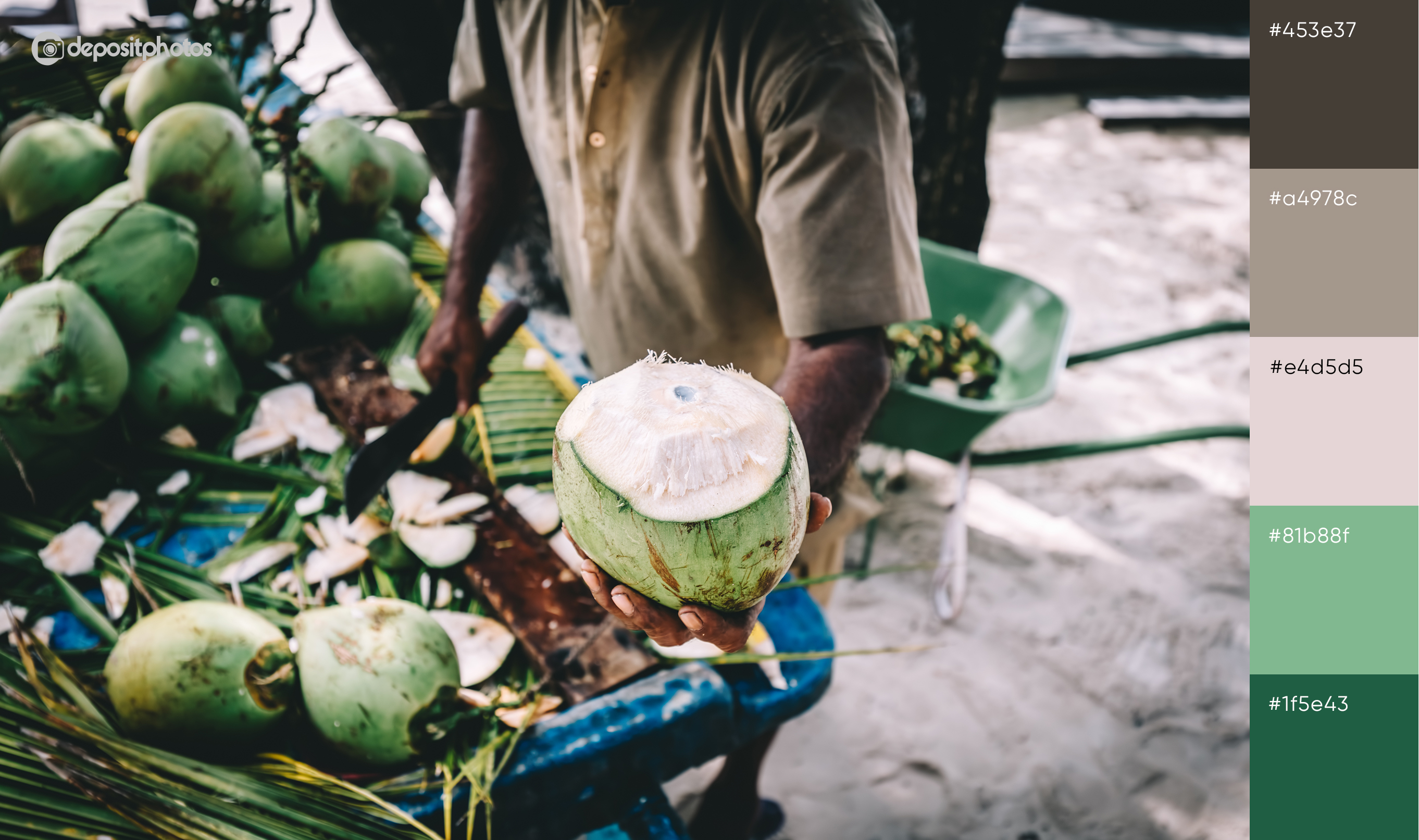 stock image man holding fresh cocunut