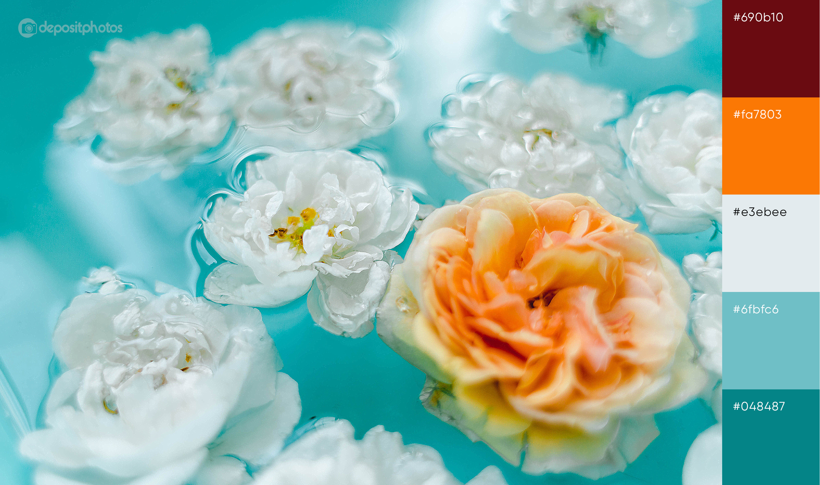 stock image flowers in water