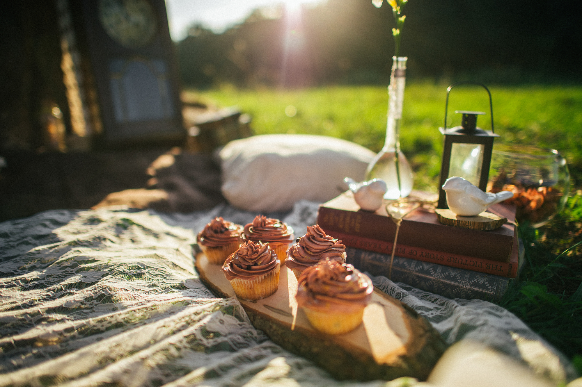 stock photo of picnic on fresh air