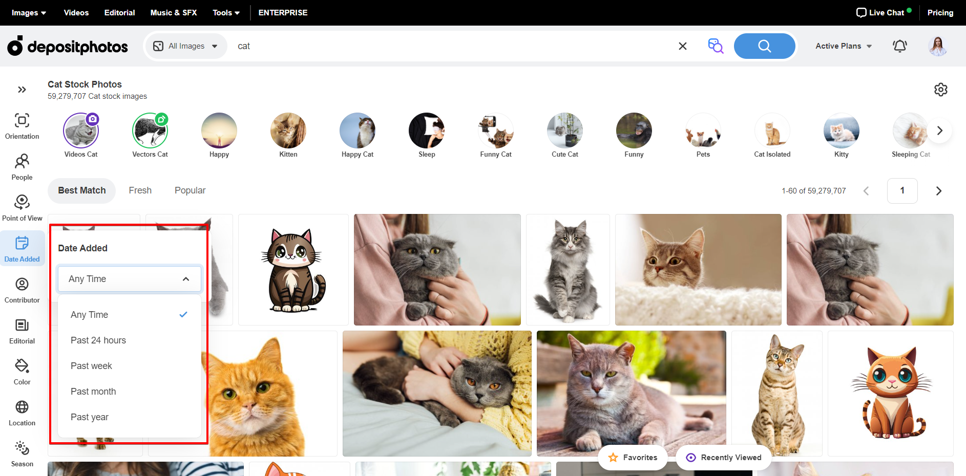 Your Complete Guide to Depositphotos Search [Updated in 2024] 