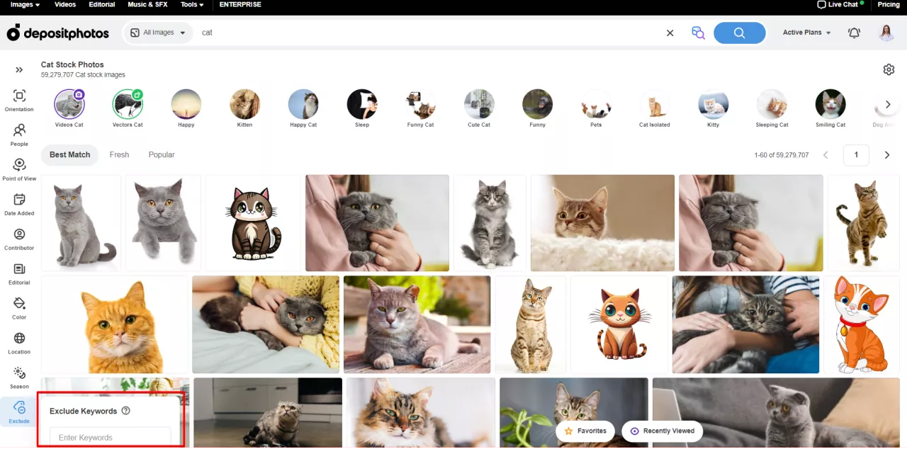 Your Complete Guide to Depositphotos Search [Updated in 2024]