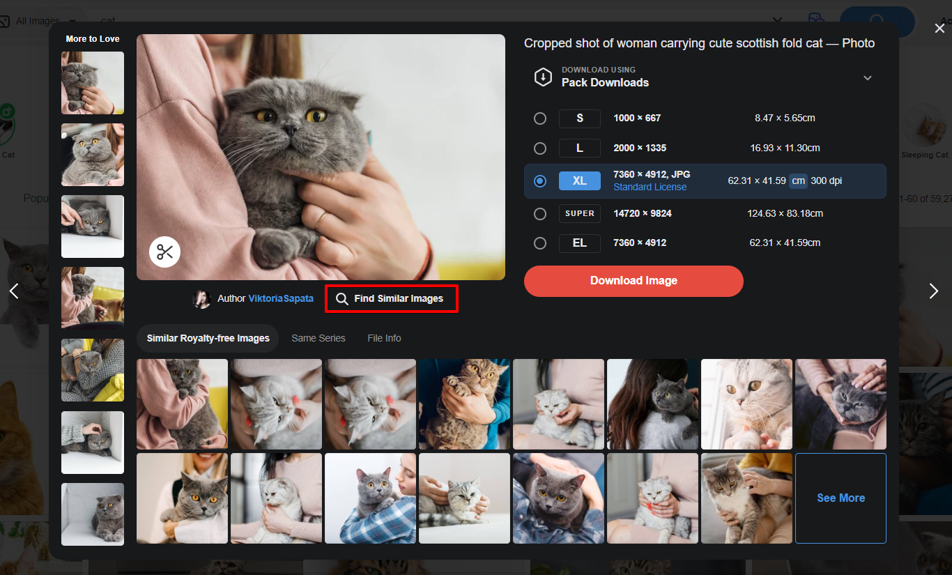 Your Complete Guide to Depositphotos Search [Updated in 2024] 