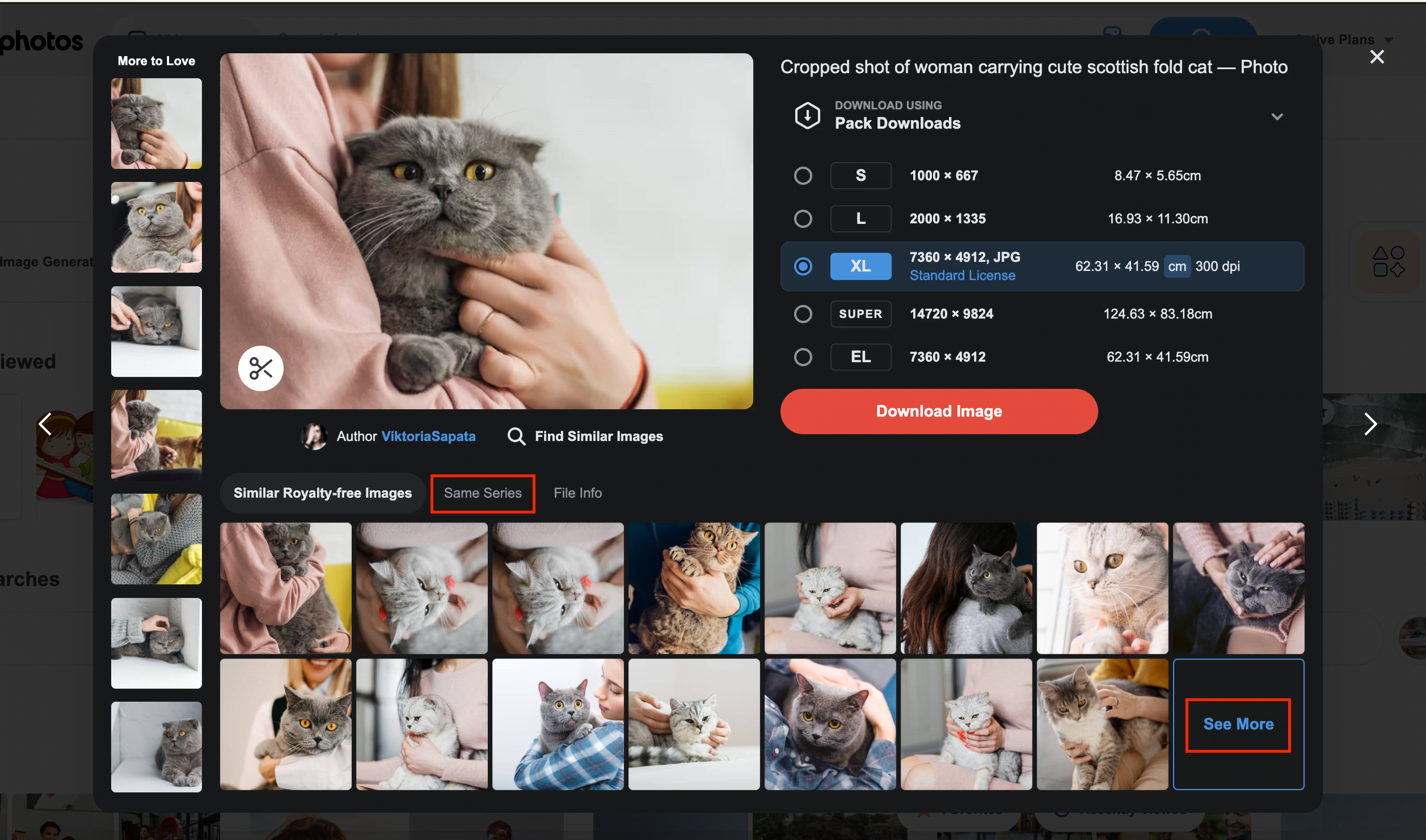 Your Complete Guide to Depositphotos Search [Updated in 2024] 