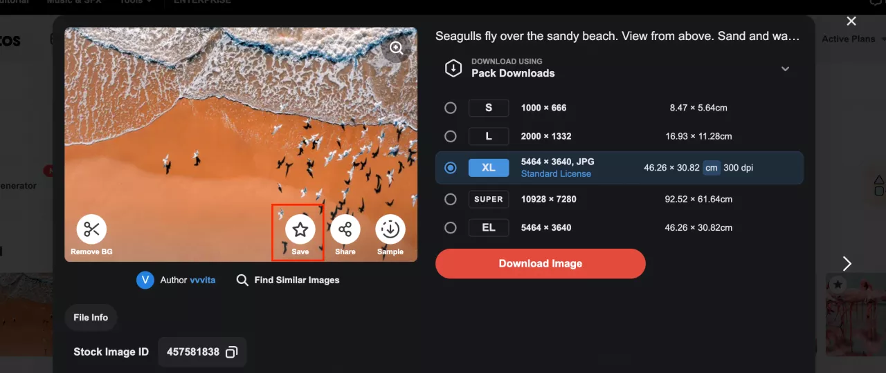 Your Complete Guide to Depositphotos Search [Updated in 2024]