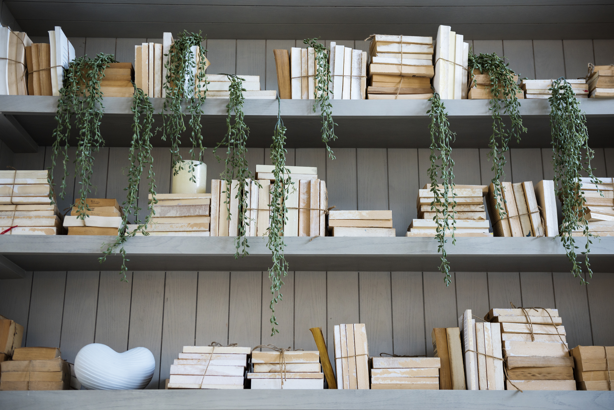 lovely bookshelf stock image