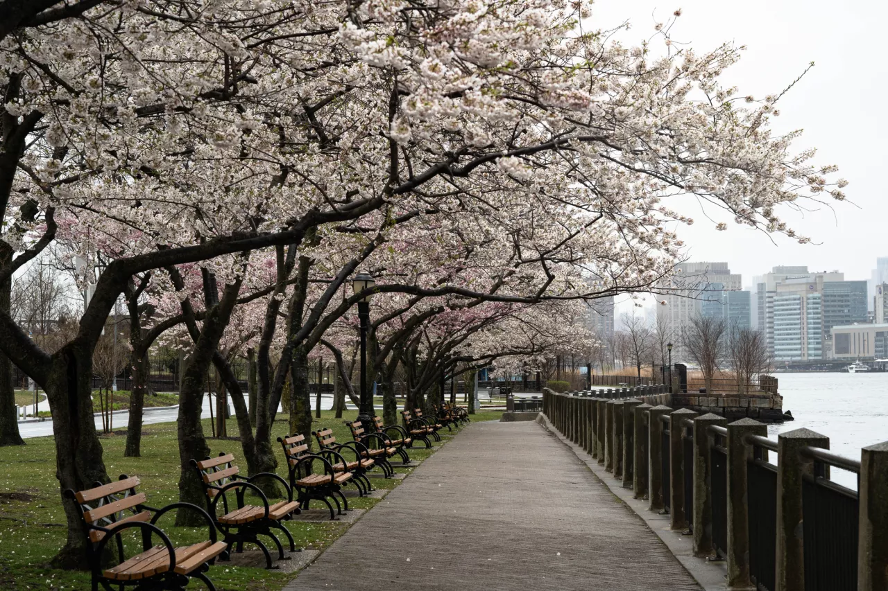 central part in spring stock photo