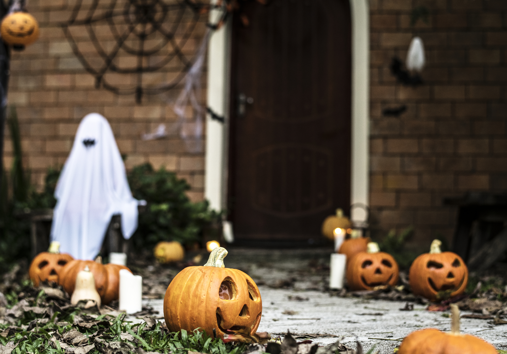 stock photo Halloween decor