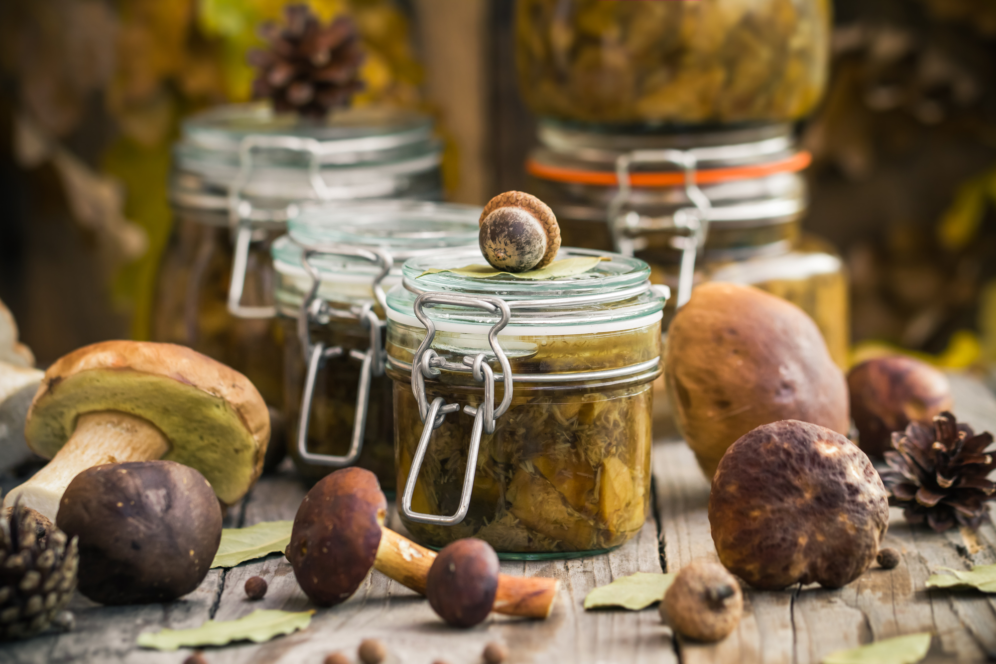 Marinated mushrooms in jars stock photo