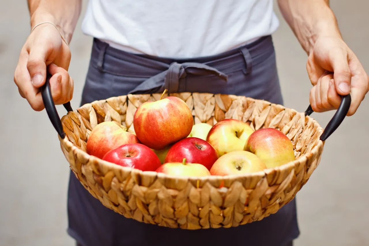 stock photo Ripe garden apples in a basket in female hands closeup