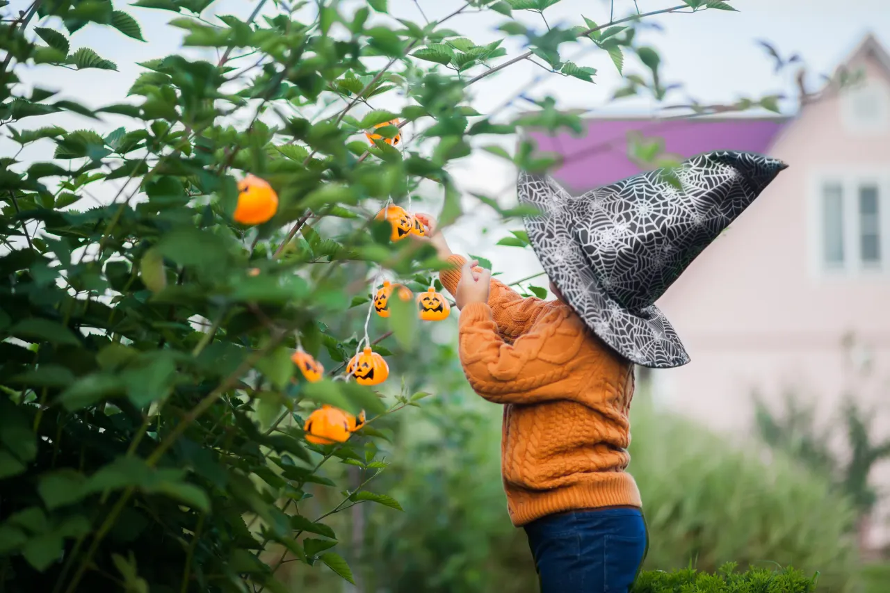 All the little things we love about Halloween