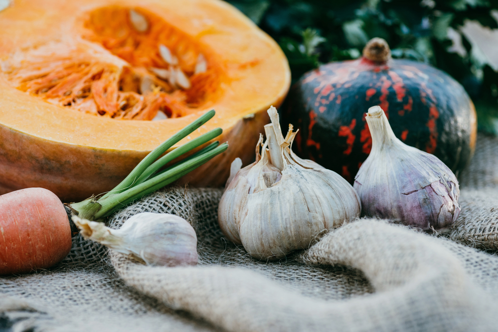 stock photography vegetables