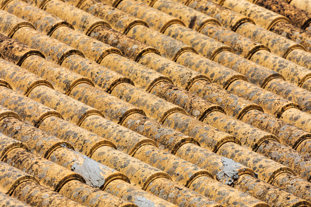 abstract stock photo roof