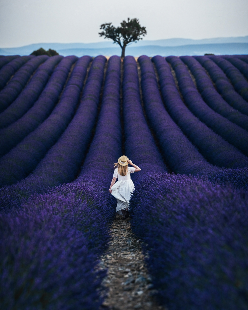 travel photography stock photo girl hat dress violet