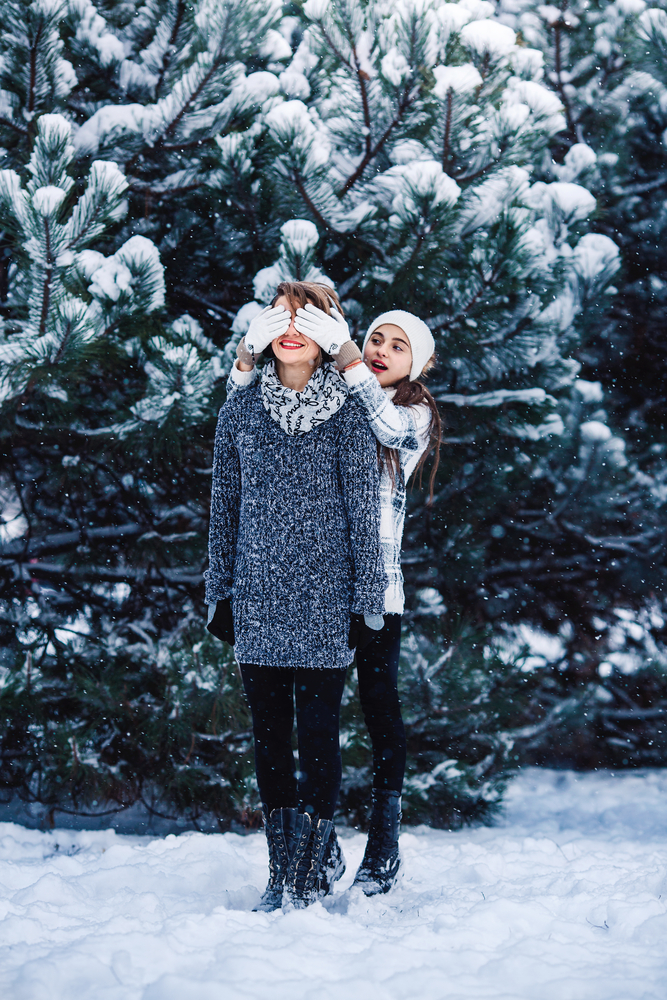 stock photo christmas women snow