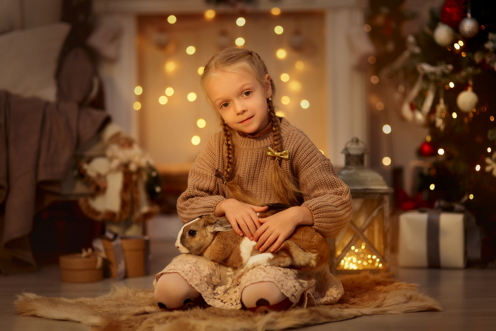 stock photo christmas girl