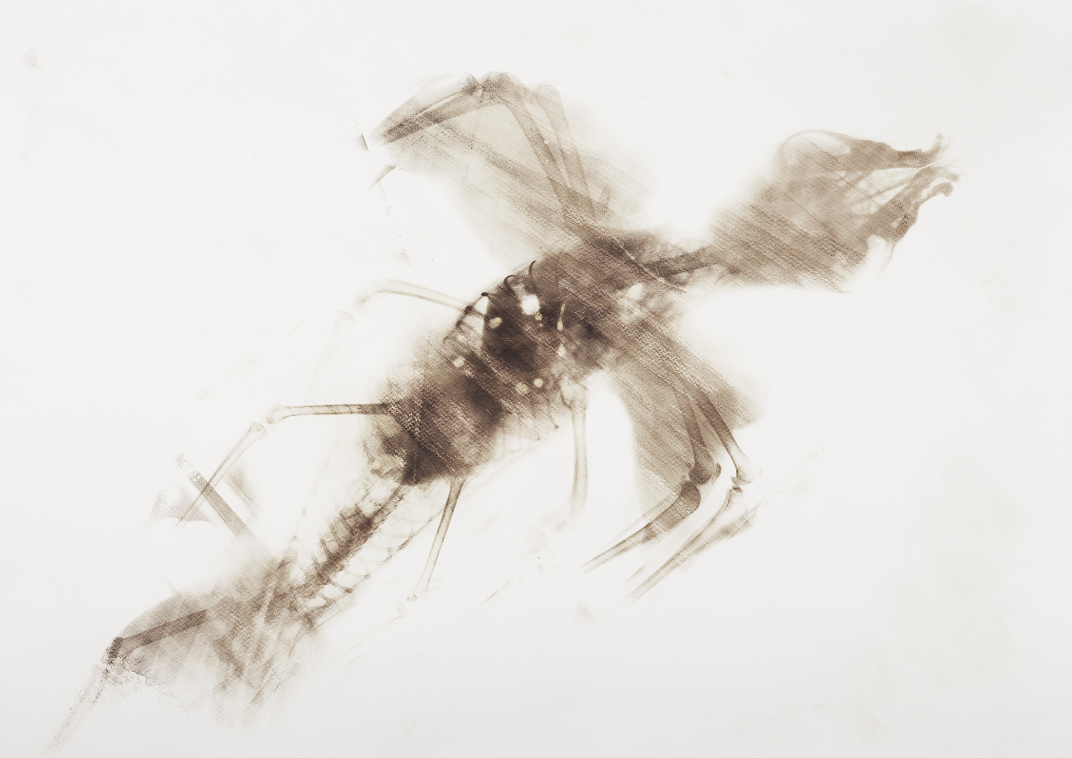 archaic techniques in photography