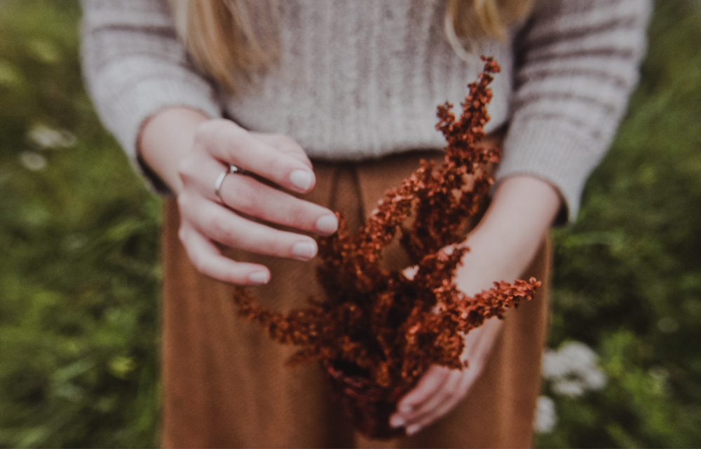 stock photo hands flower