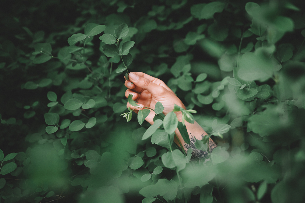 stock photo green hand