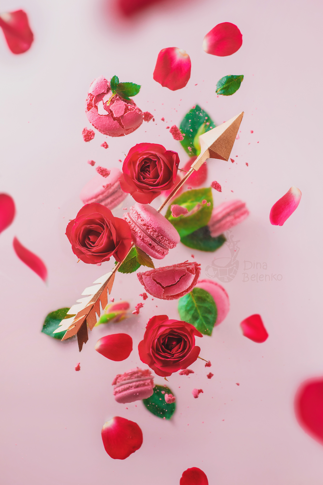 Dina Belenko Vlaentine's Day concept