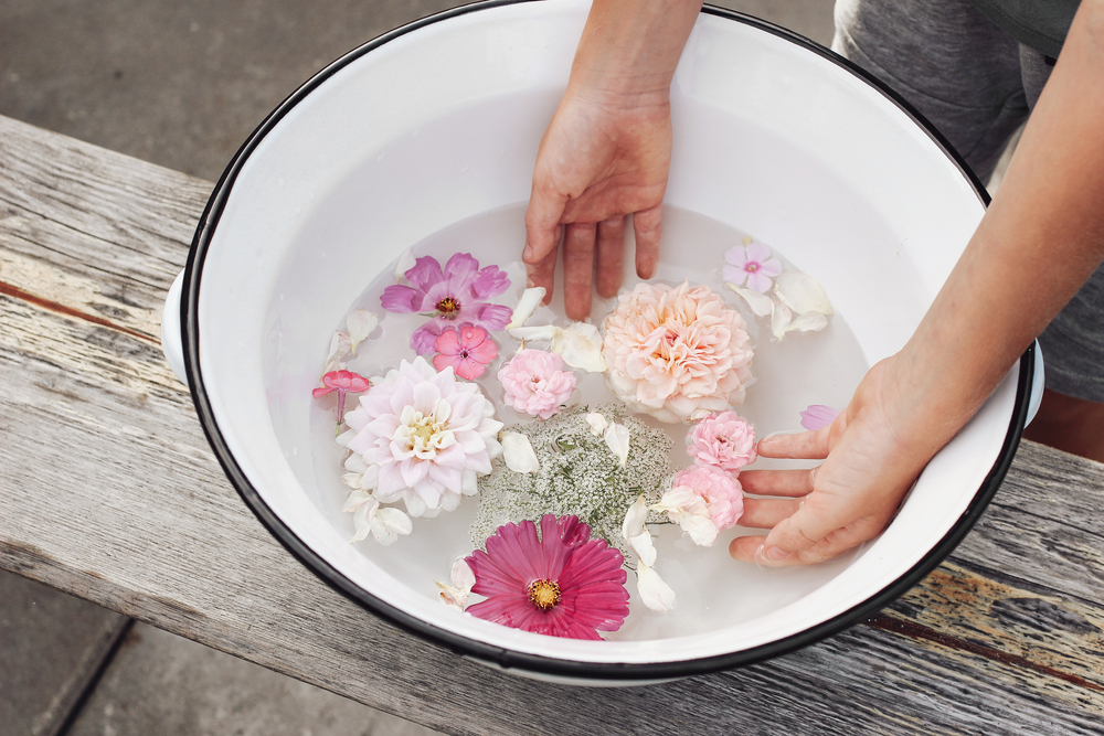 stock photo water hands flowers 