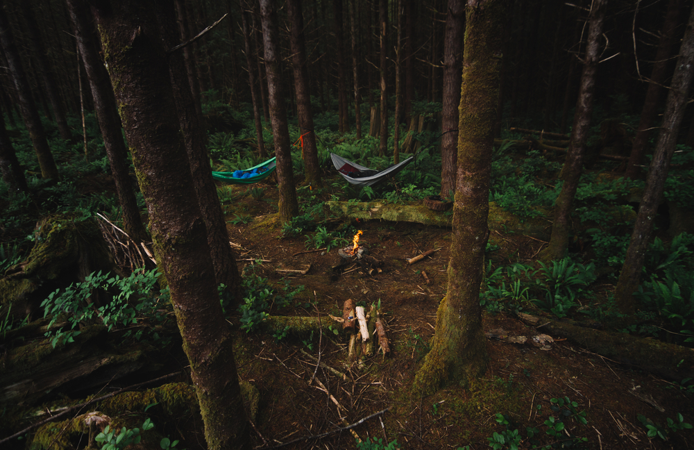 stock photo forest fire camp