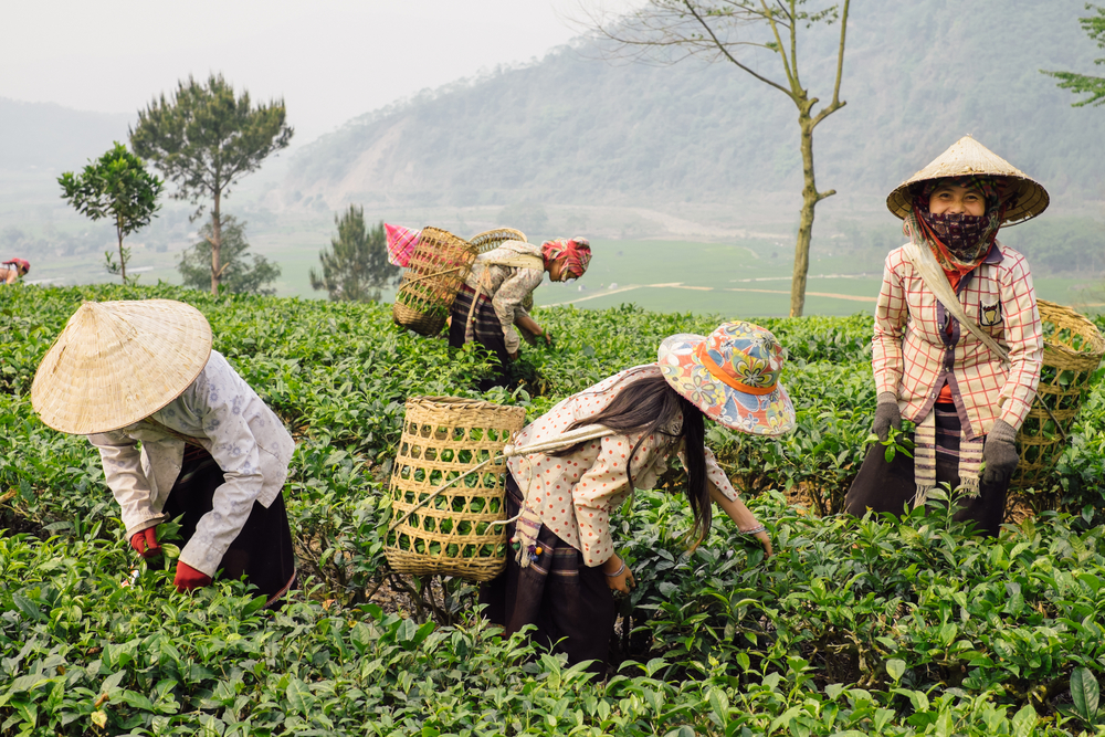 stock photo Vietnam travel images Vietnamese people