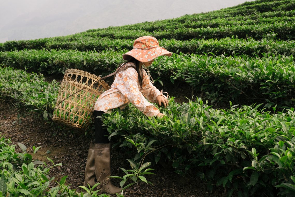 stock photo Vietnam travel images Vietnamese people