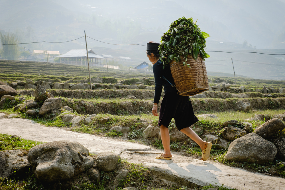 stock photo Vietnam travel images Vietnamese people