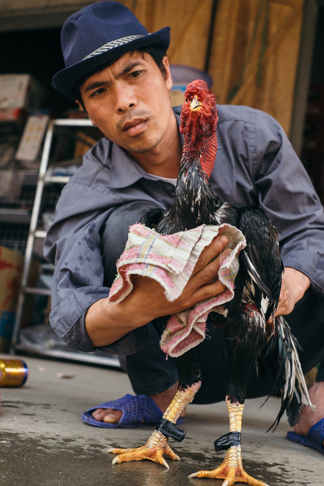 stock photo Vietnam travel images Vietnamese people