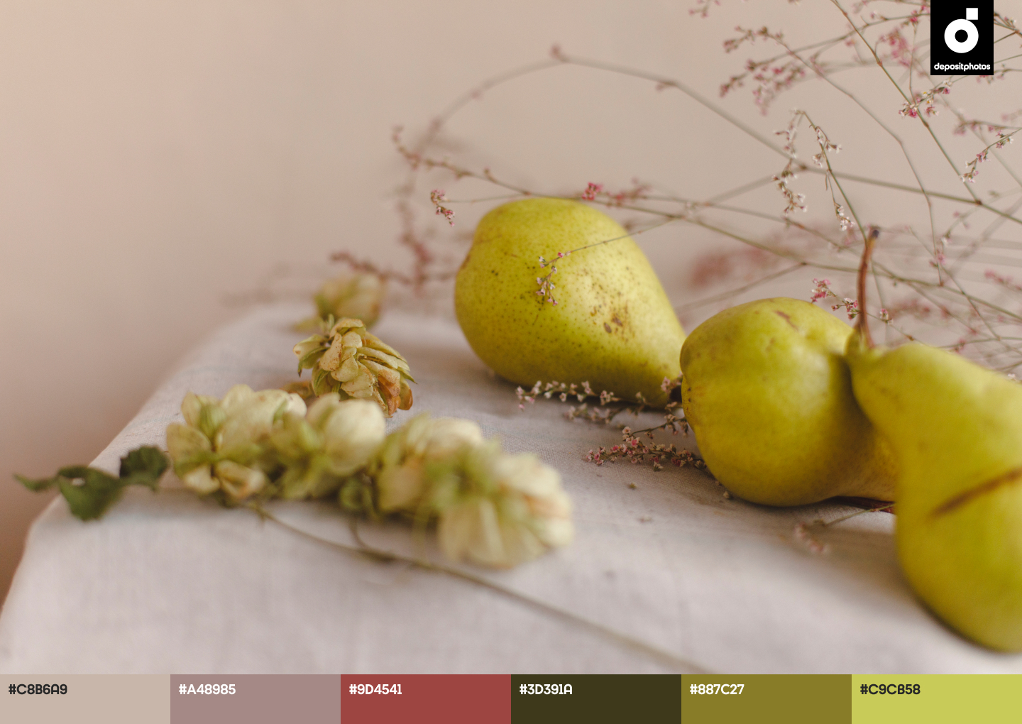 fruit summer color palettes 