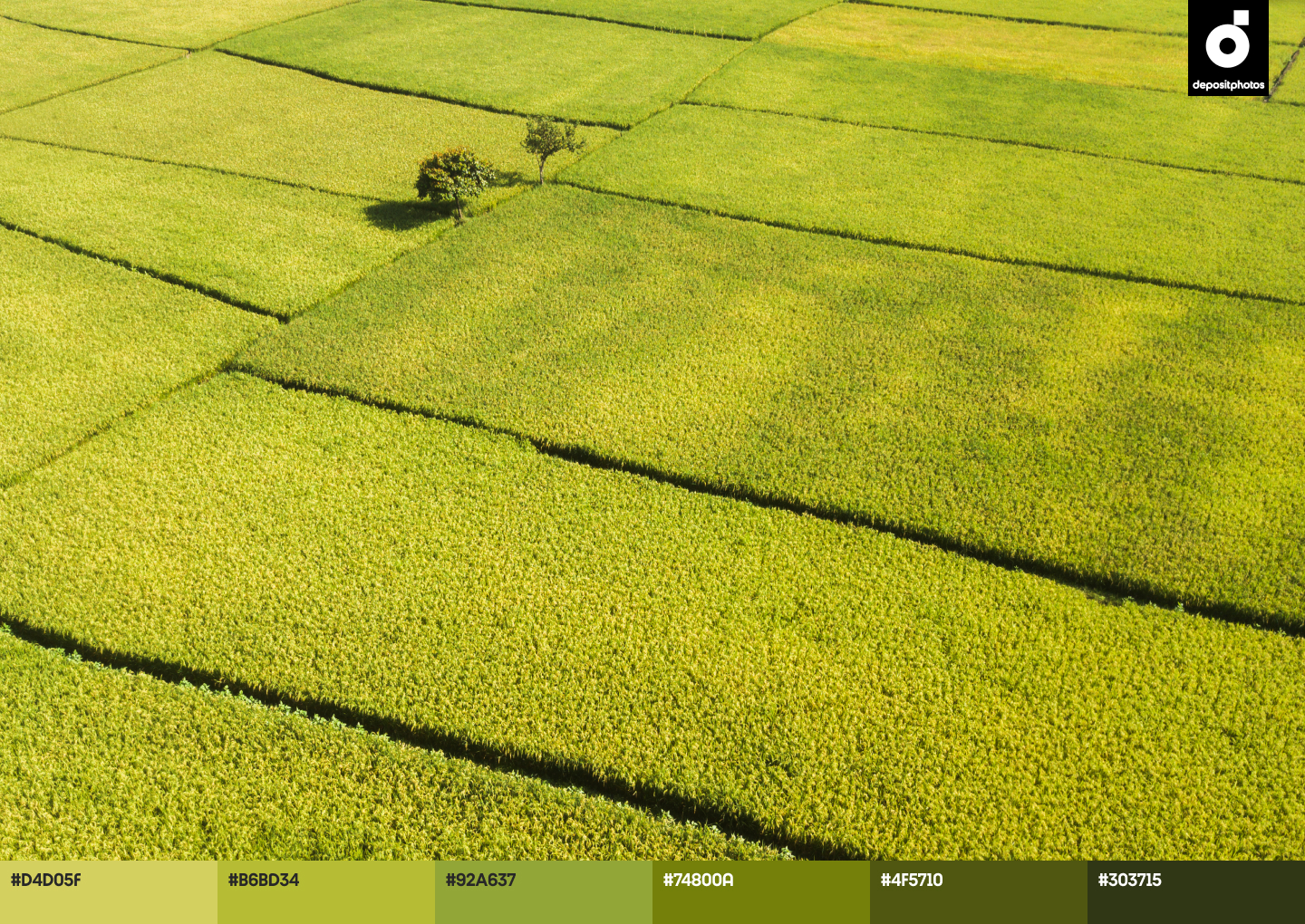 green summer color palettes 