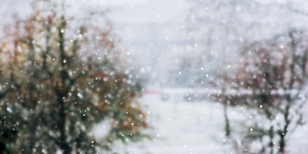 Floresta em um dia nevado