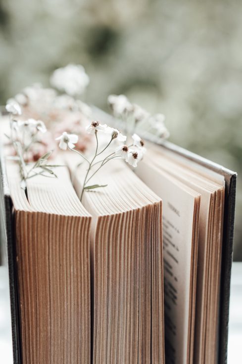 Livro velho com flores de campo como marcadores. Foto