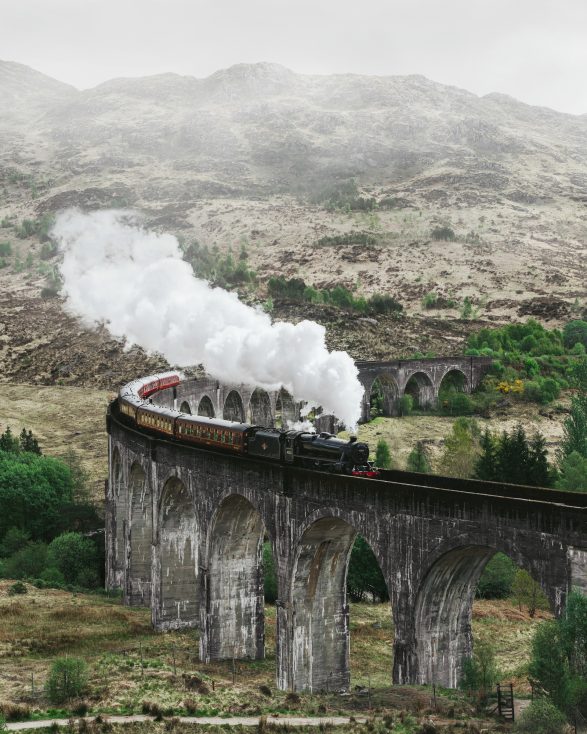 Paisagem com viaduto e trem