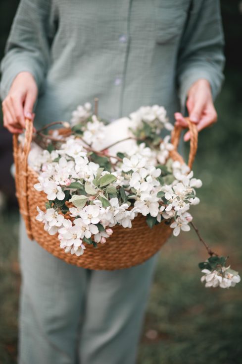 Flores de maçã em uma cesta de vime na mão de uma mulher na primavera