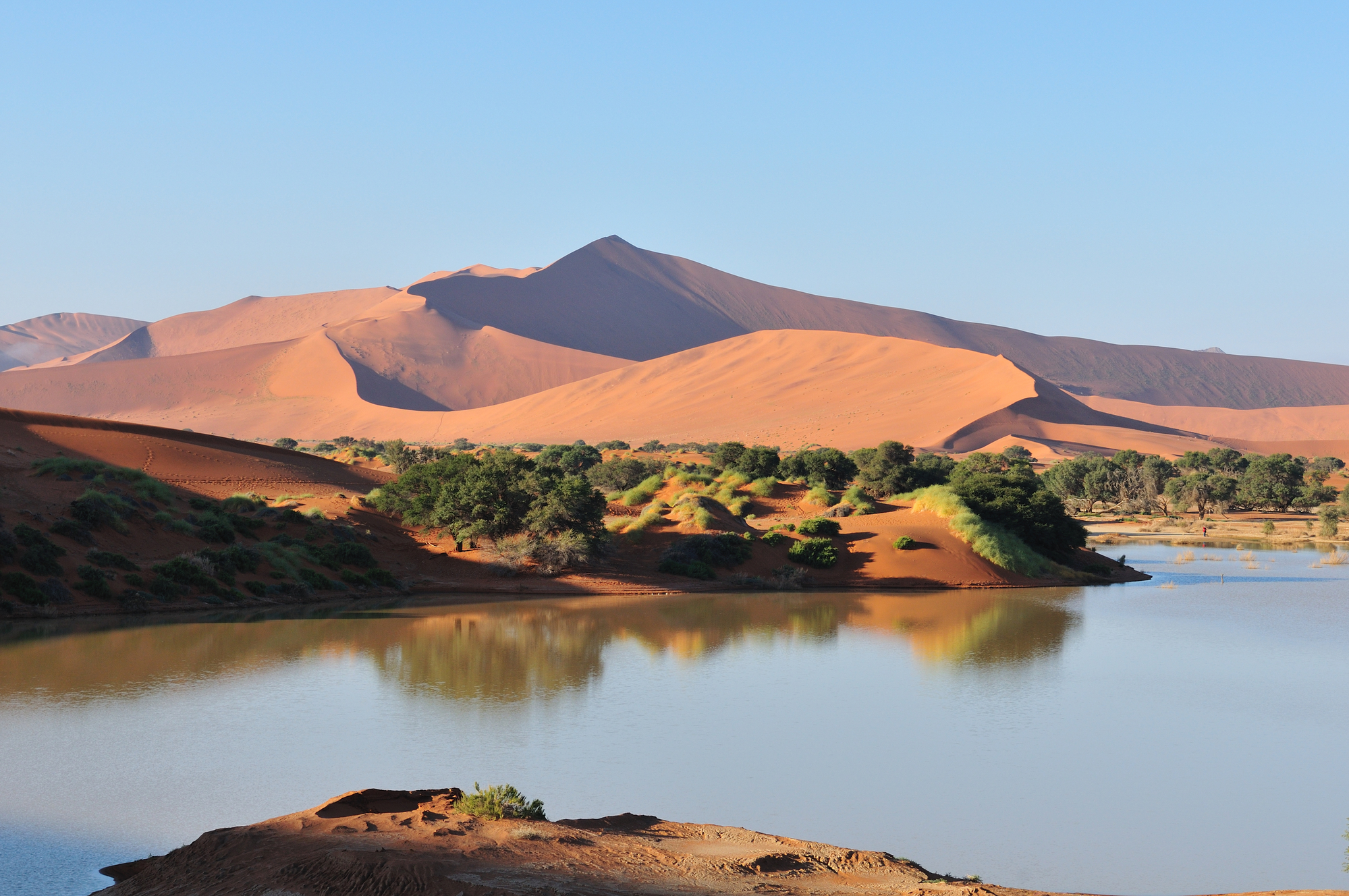 Namib desert